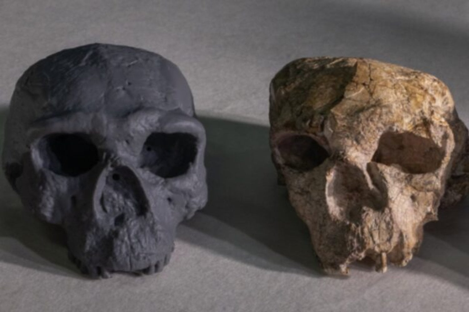 Hace 100.000 años Etiopía no era un desierto. Un hallazgo permite reconstruir cómo vivían, se movían y morían algunos de los primeros Homo sapiens