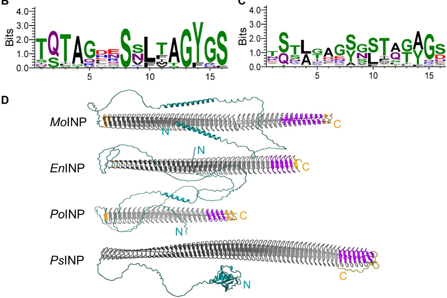 Descubren que algunos hongos del suelo han “robado” ADN de bacterias para fabricar su propia lluvia. El hallazgo revela que pueden influir en el clima desde el suelo hasta la atmósfera