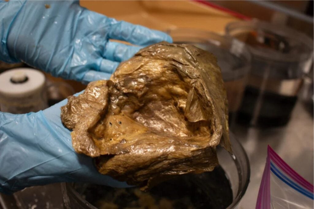 Diseño Sin Título (43)