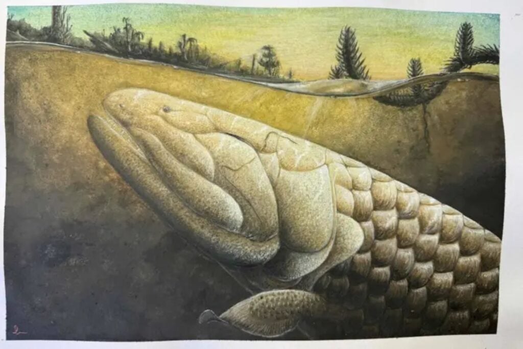 Un fósil de 380 millones de años escondía una de las claves de la evolución. Al analizar su cerebro, los científicos han encontrado pistas de cómo los vertebrados empezaron a adaptarse a la vida fuera del agua