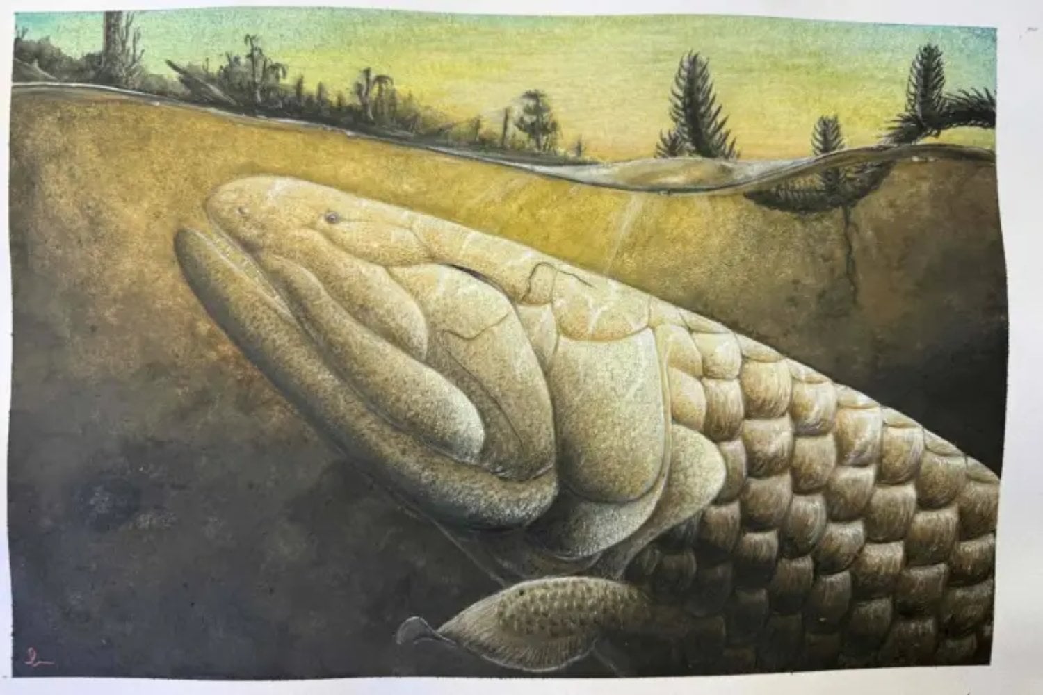 Un fósil de 380 millones de años escondía una de las claves de la evolución. Al analizar su cerebro, los científicos han encontrado pistas de cómo los vertebrados empezaron a adaptarse a la vida fuera del agua