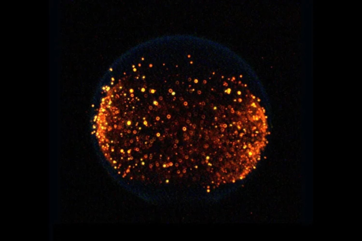 Diseño Sin Título (45)