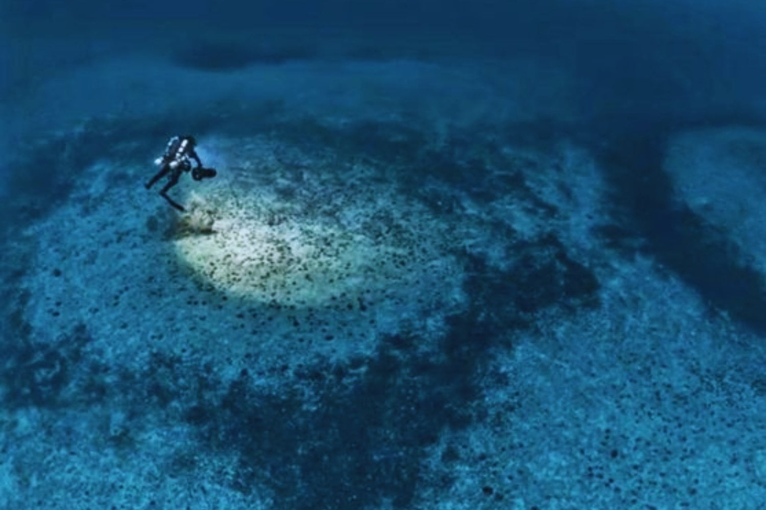 Exploraron el fondo del Mediterráneo y se toparon con 1.400 círculos gigantes casi perfectos. Lo más fascinante no es su forma, sino que podrían haberse formado cuando el mar estaba decenas de metros más abajo