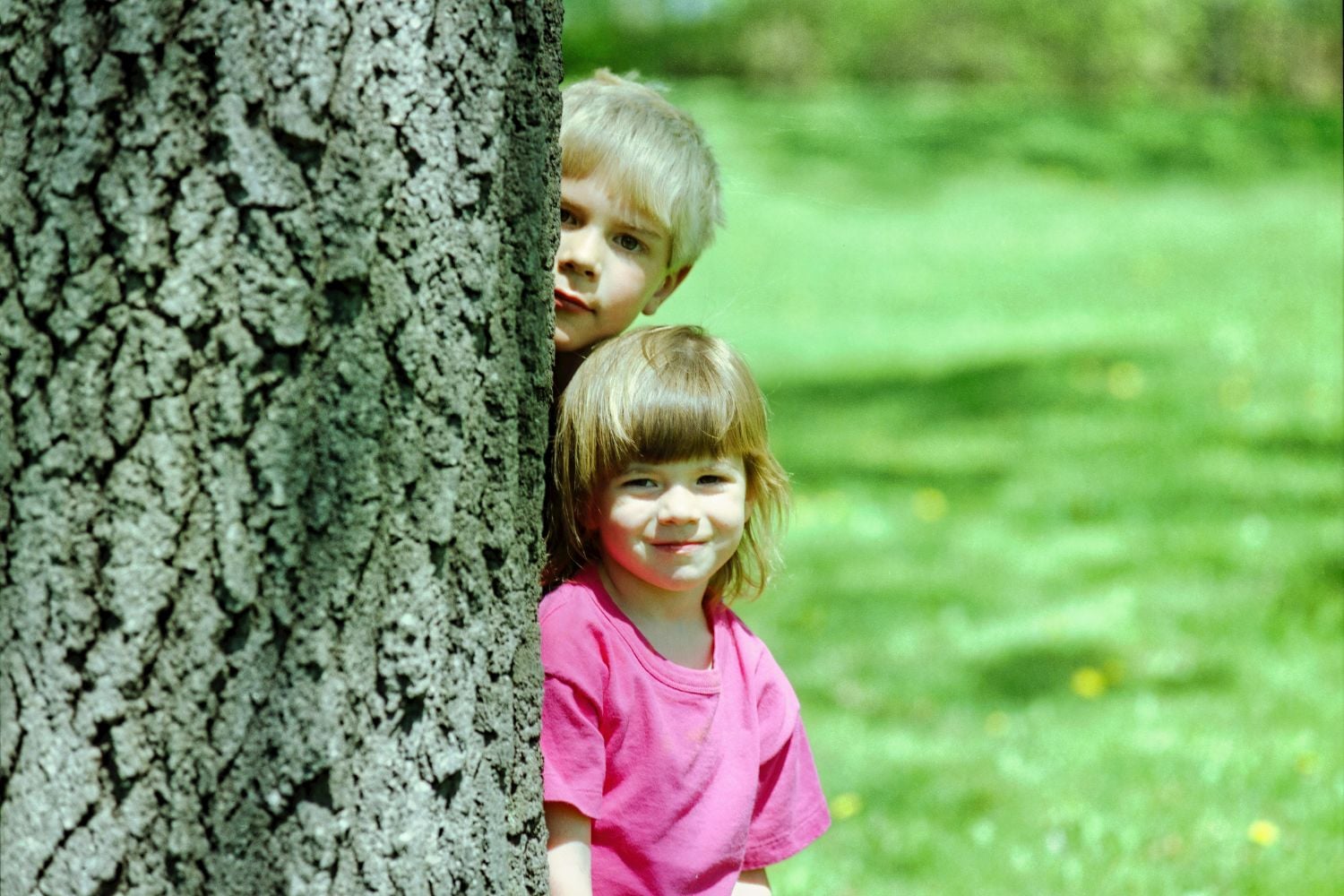 Diseño Sin Título (47)