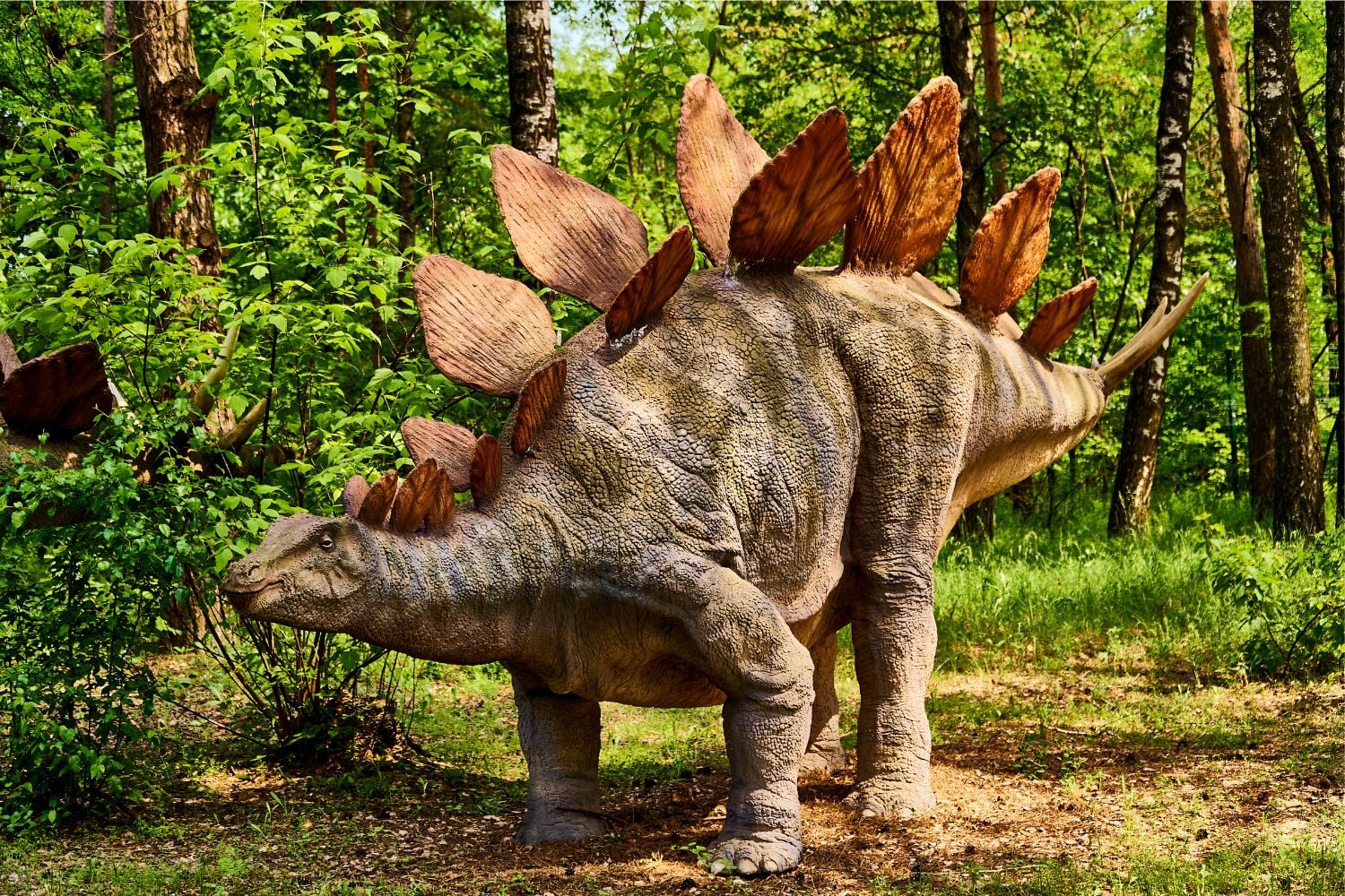 Diseño Sin Título (48)