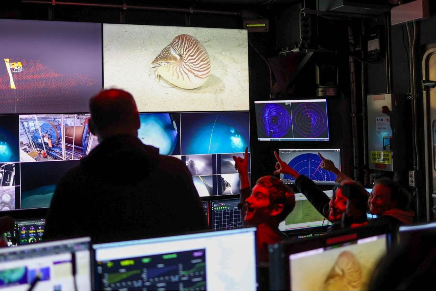 Durante 25 años creímos que este fósil era el pulpo más antiguo del mundo. Un nuevo análisis acaba de demostrar que en realidad era otra cosa