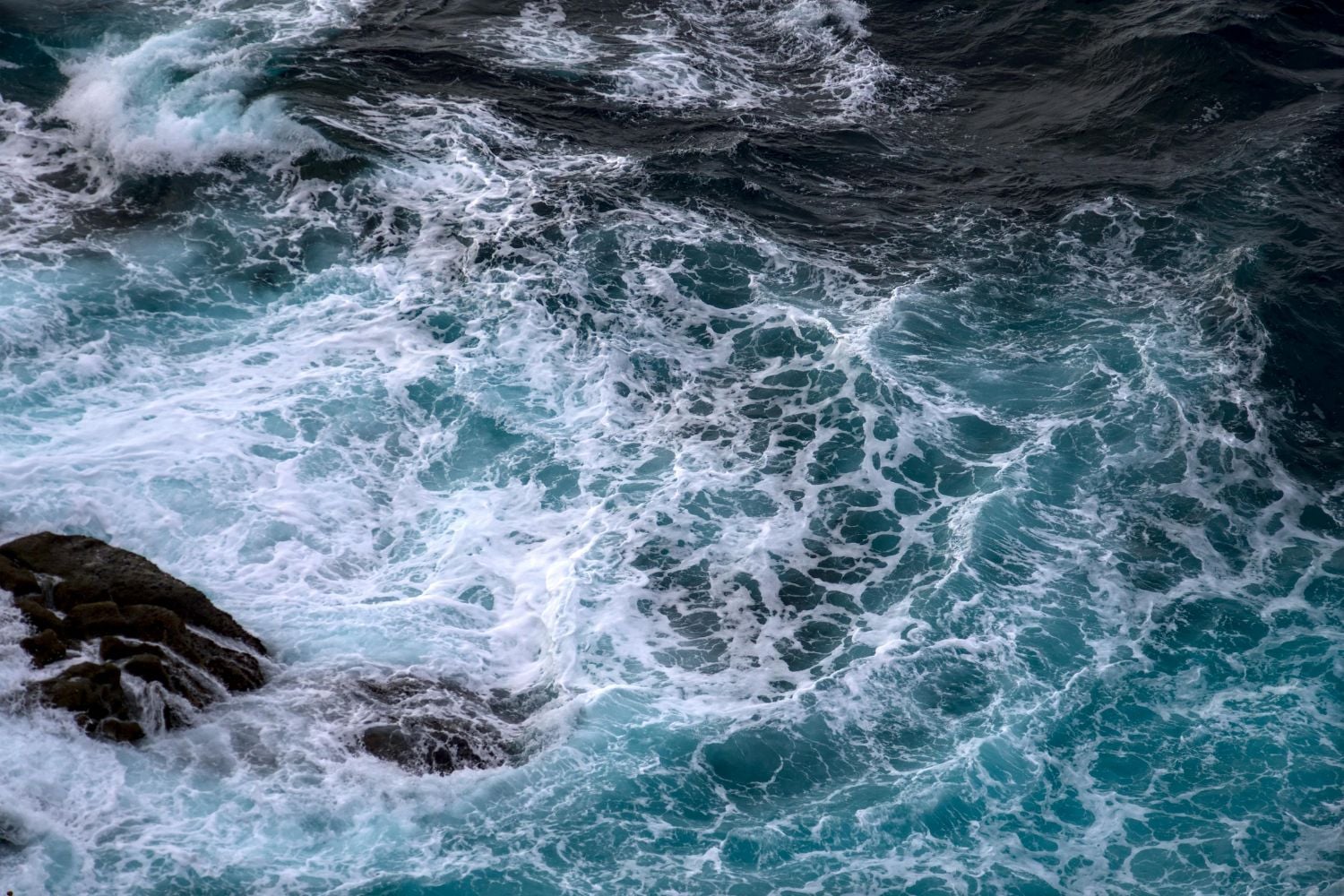 Diseño Sin Título (49)