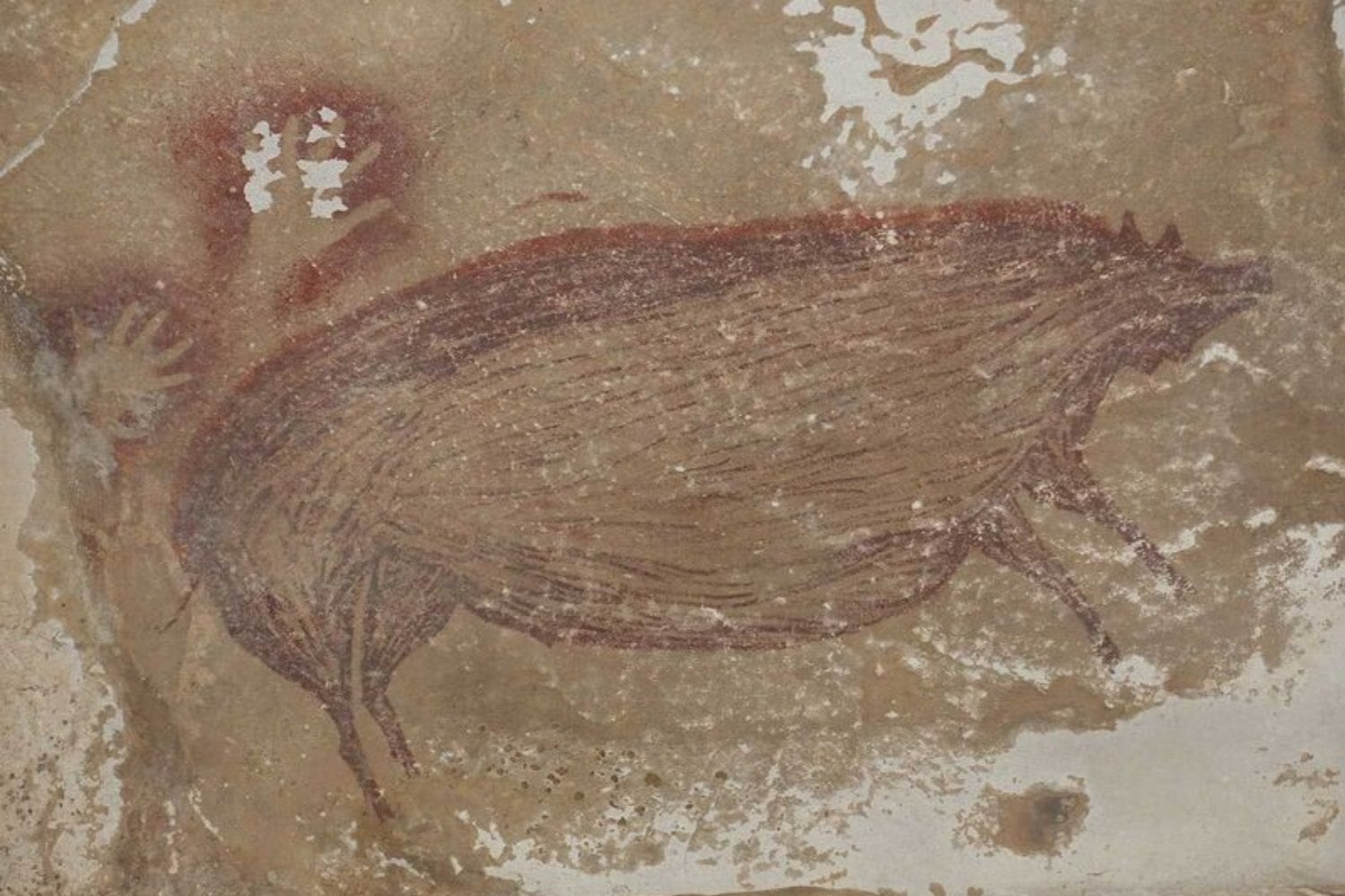 Durante años pensamos que el arte más antiguo de la humanidad estaba en Europa. Un cerdo pintado hace 45.500 años en Indonesia obligó a reescribir esa historia