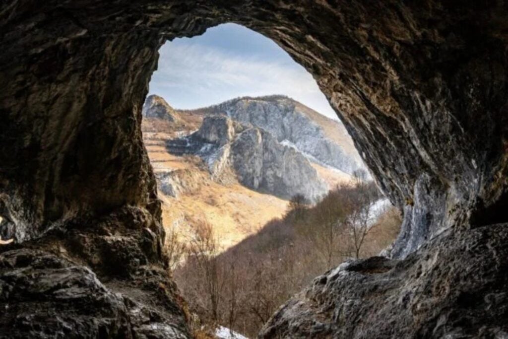 Entraron en una cueva de Nueva Zelanda sin saber que estaban bajando a una capsula del tiempo. Lo que encontraron dentro pertenece a un mundo que desapareció hace un millón de años