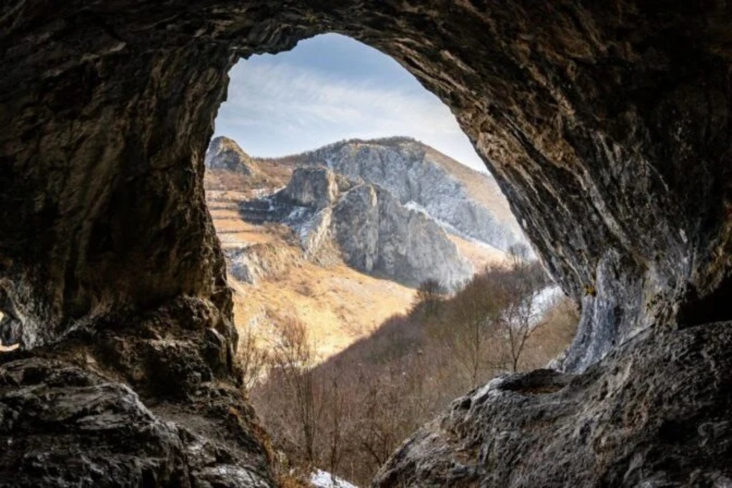 Entraron en una cueva de Nueva Zelanda sin saber que estaban bajando a una capsula del tiempo. Lo que encontraron dentro pertenece a un mundo que desapareció hace un millón de años
