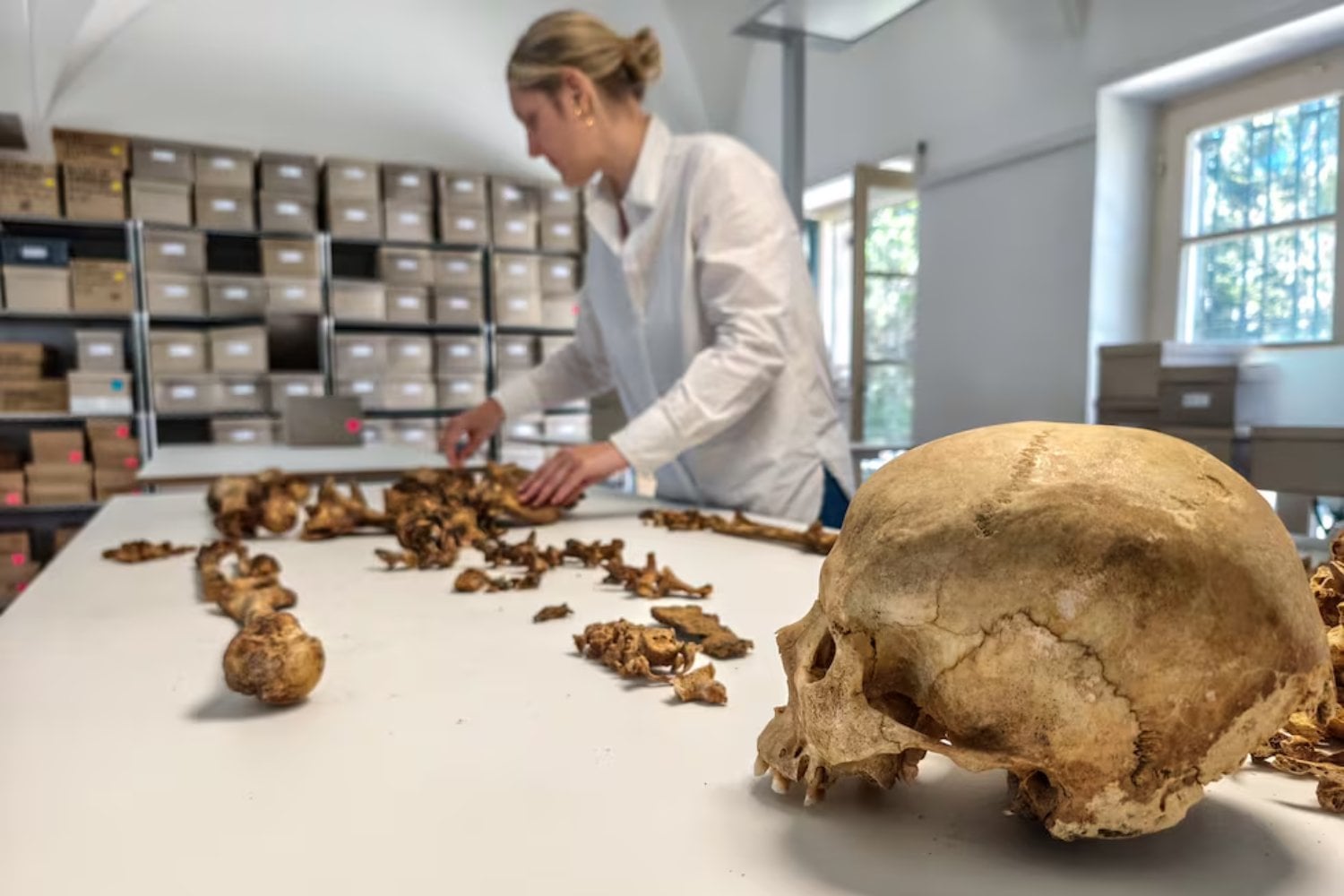 La caída del Imperio romano no fue solo el fin de un sistema político ni una ola de invasiones. La genética revela que fue el momento en que las poblaciones europeas empezaron a mezclarse de verdad