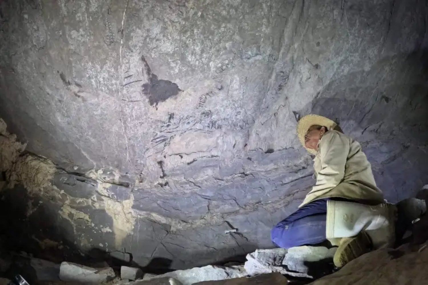 Un techo de cueva en Cuba ocultó durante 145 millones de años a un depredador marino del Jurásico. Ahora ese fósil está cambiando lo que sabíamos del Caribe