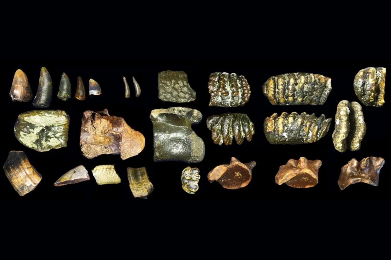 Arqueólogos descubren un mundo hundido de casi 150 mil años bajo el mar de Indonesia. Estaba lleno de bestias gigantes y restos de una especie humana extinta nunca antes vista