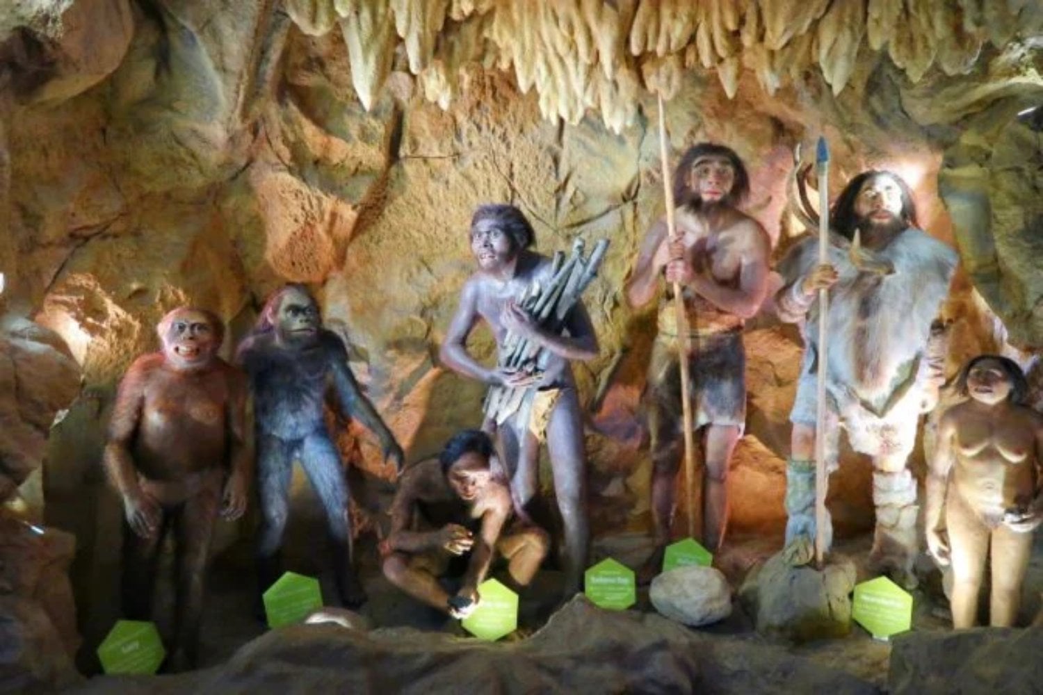 El lenguaje humano podría ser mucho más antiguo de lo que creíamos. Un estudio revela que su base genética ya existía antes de los Homo sapiens y también estaba en los neandertales