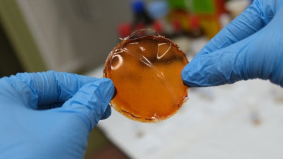 España logra un avance clave en el hidrógeno limpio. Una nueva membrana multiplica por 10 la eficiencia en su purificación y reduce un proceso de días a solo unas horas