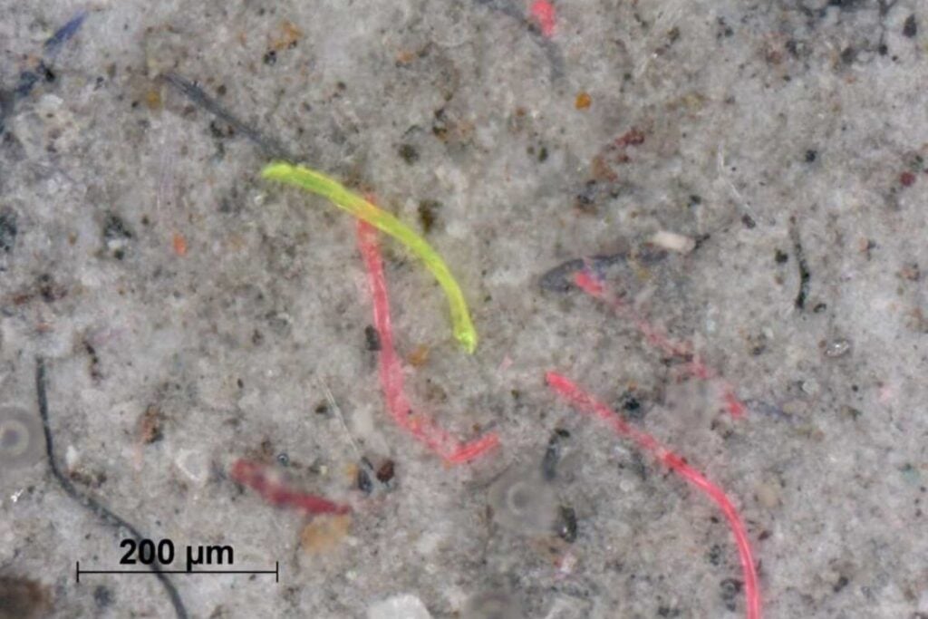 Alemania desarrolla un filtro textil que ataca el problema invisible del plástico. Es capaz de eliminar hasta el 98,5% de microfibras antes de que lleguen a ríos y océanos