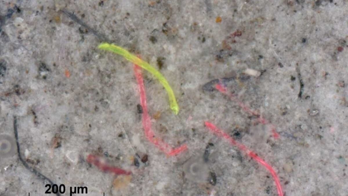 Alemania desarrolla un filtro textil que ataca el problema invisible del plástico. Es capaz de eliminar hasta el 98,5% de microfibras antes de que lleguen a ríos y océanos