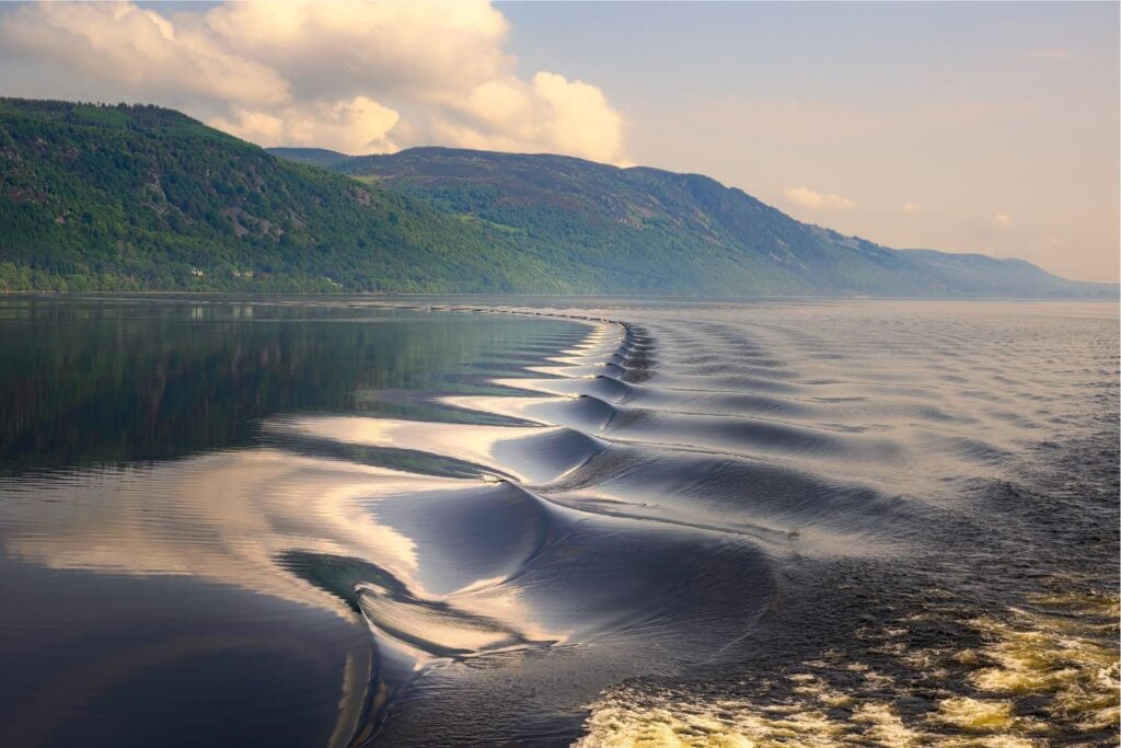 Diseño Sin Título (53)