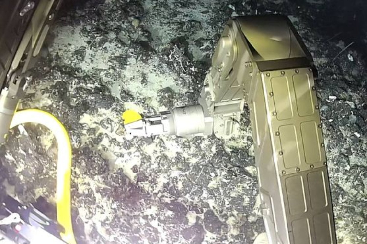 A 1.300 metros bajo la Antártida hay agua que supera los 300 °C y, aun así, alberga vida. Una expedición surcoreana ha logrado observar por primera vez este mundo oculto en tiempo real