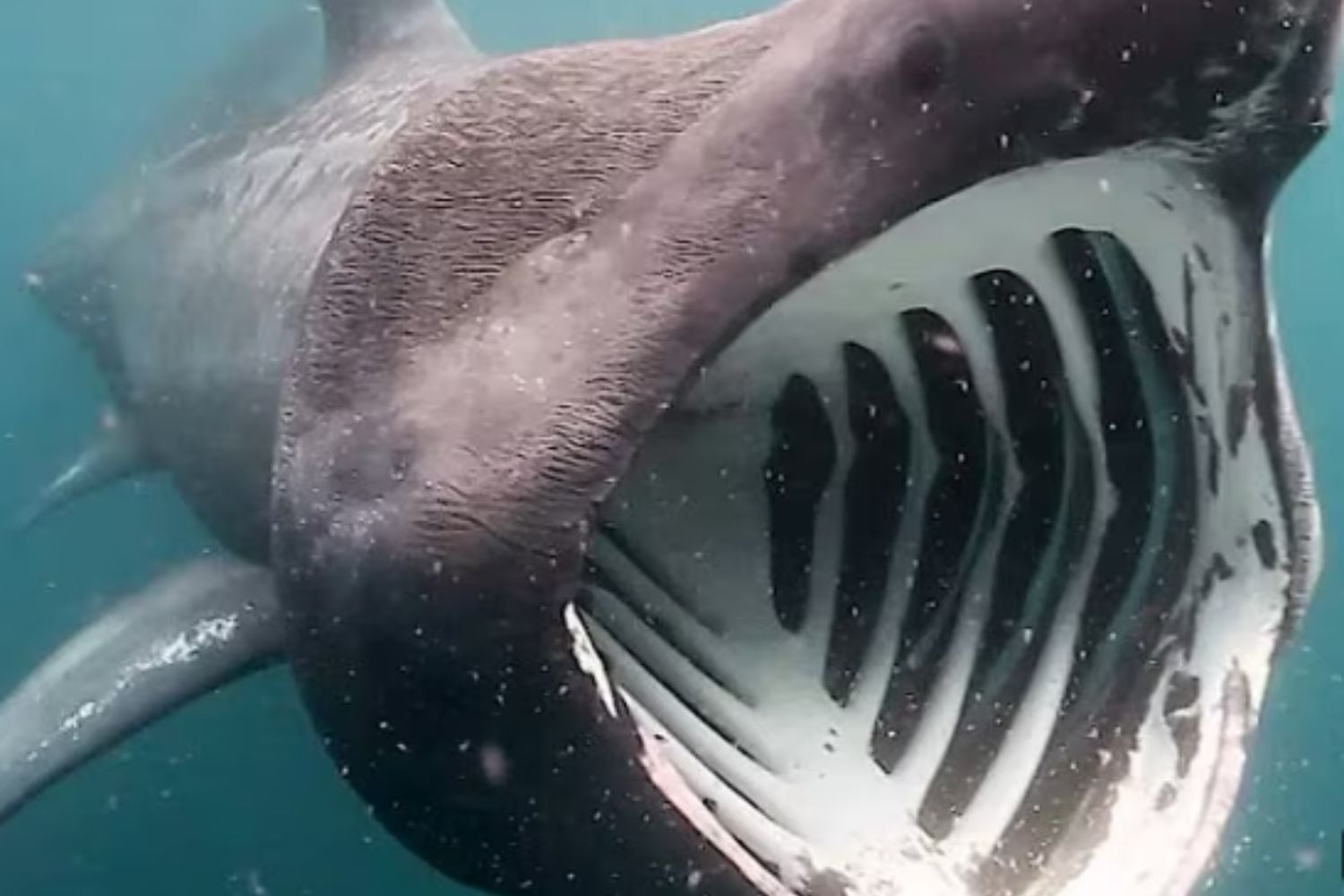 Diseño Sin Título (55)