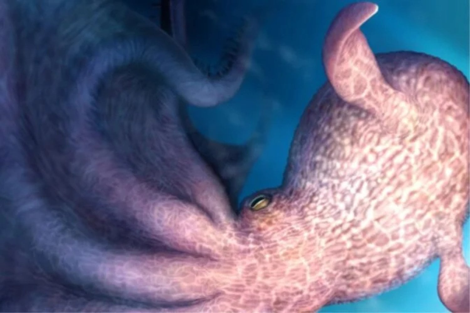 La ciencia acaba de enfriar una fantasía viral sobre el “kraken” prehistórico: no se han descubierto pulpos de 19 metros dominando los océanos, pero el hallazgo real sigue siendo fascinante