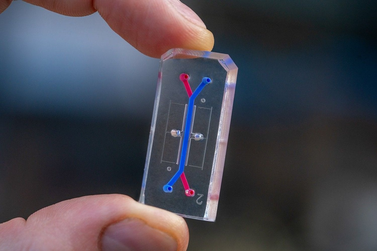 La NASA envió “copias biológicas” de astronautas a la Luna dentro de chips con células humanas. Si funcionan, podrían anticipar enfermedades y cambiar cómo probamos medicamentos en la Tierra