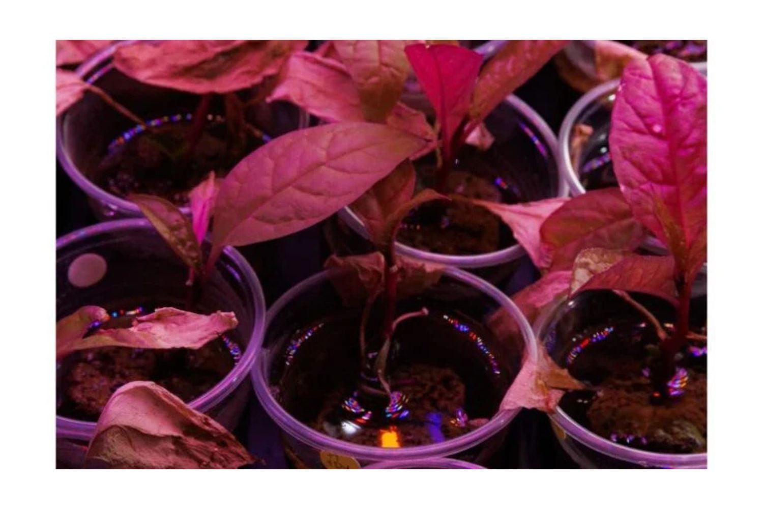 Diseño Sin Título (56)