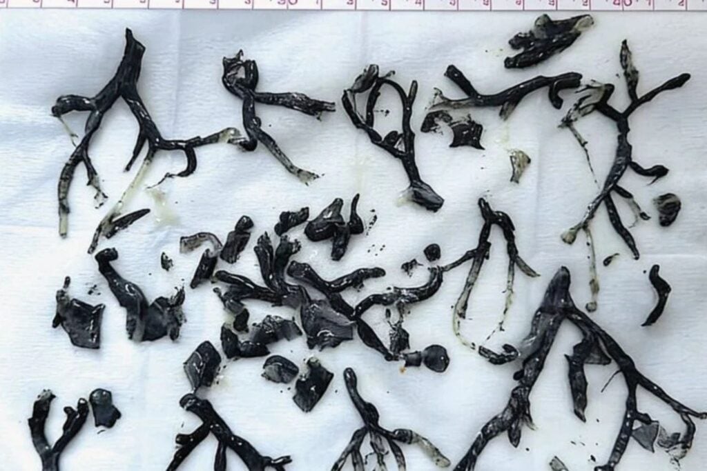 Diseño Sin Título (60)