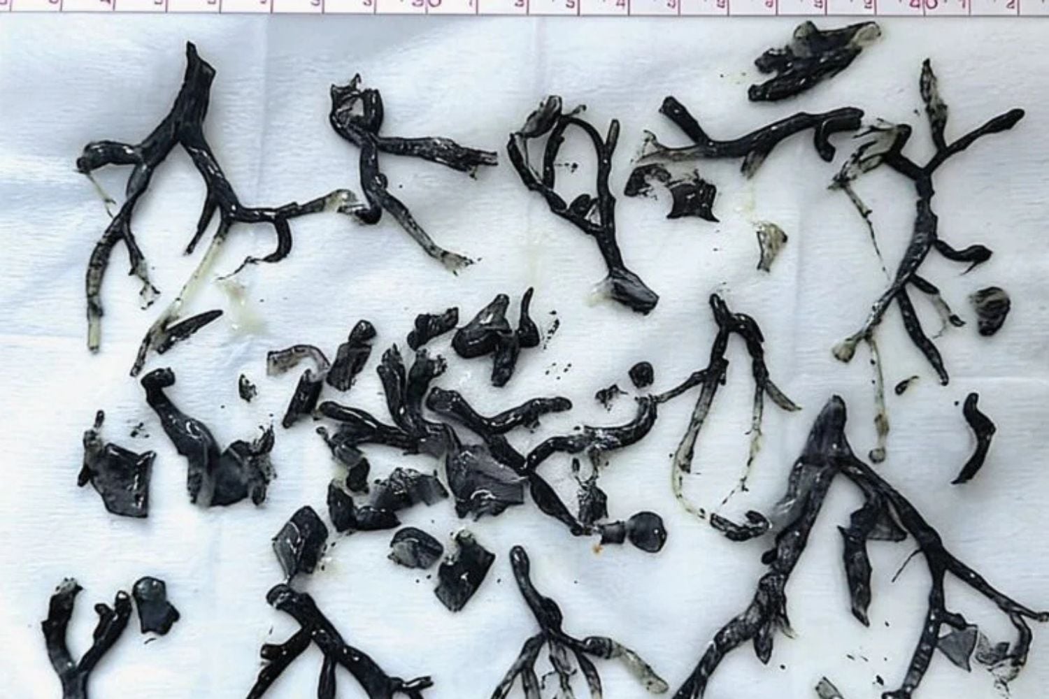 Diseño Sin Título (60)