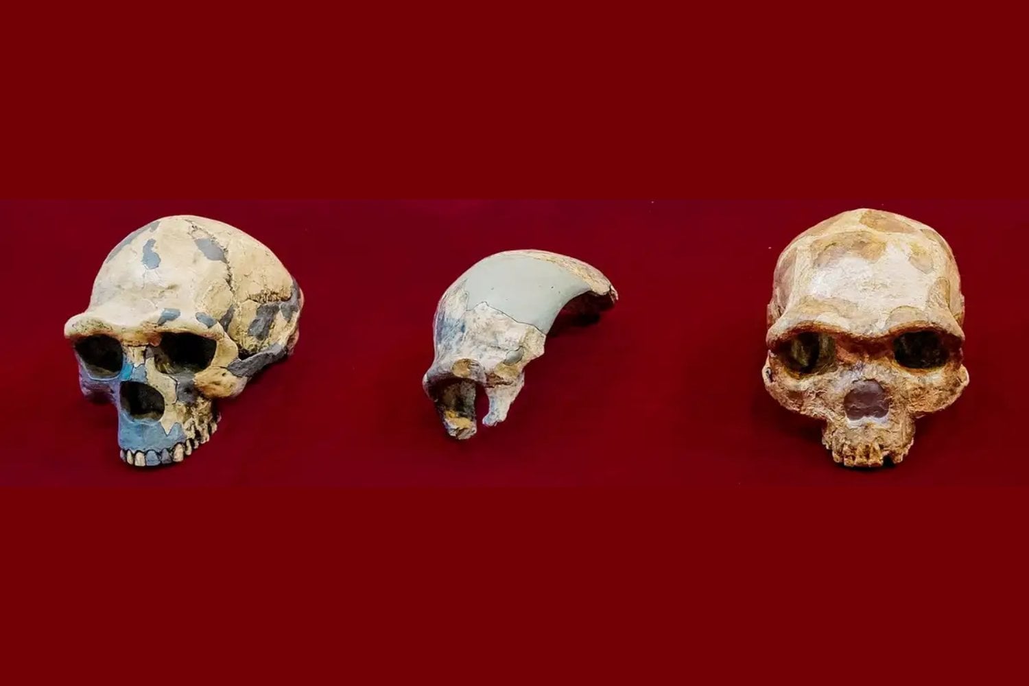 Creíamos saber cuándo los primeros humanos salieron de África. Un hallazgo en el valle del Jordán sugiere que ocurrió mucho antes y de forma más compleja