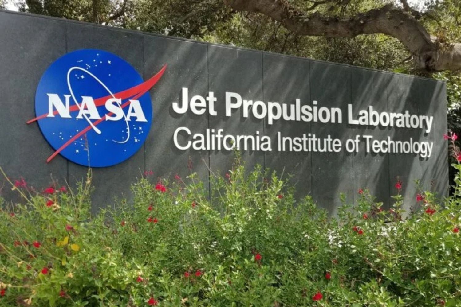 Diseño Sin Título (61)