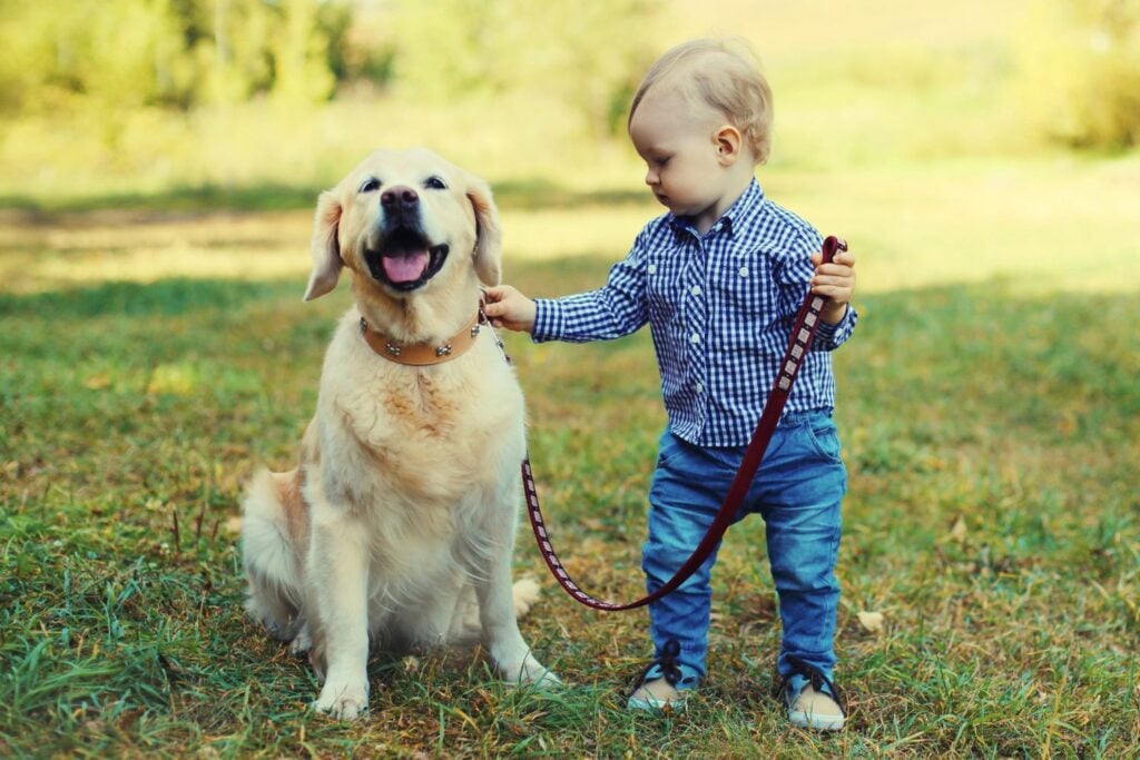 Diseño Sin Título (62)