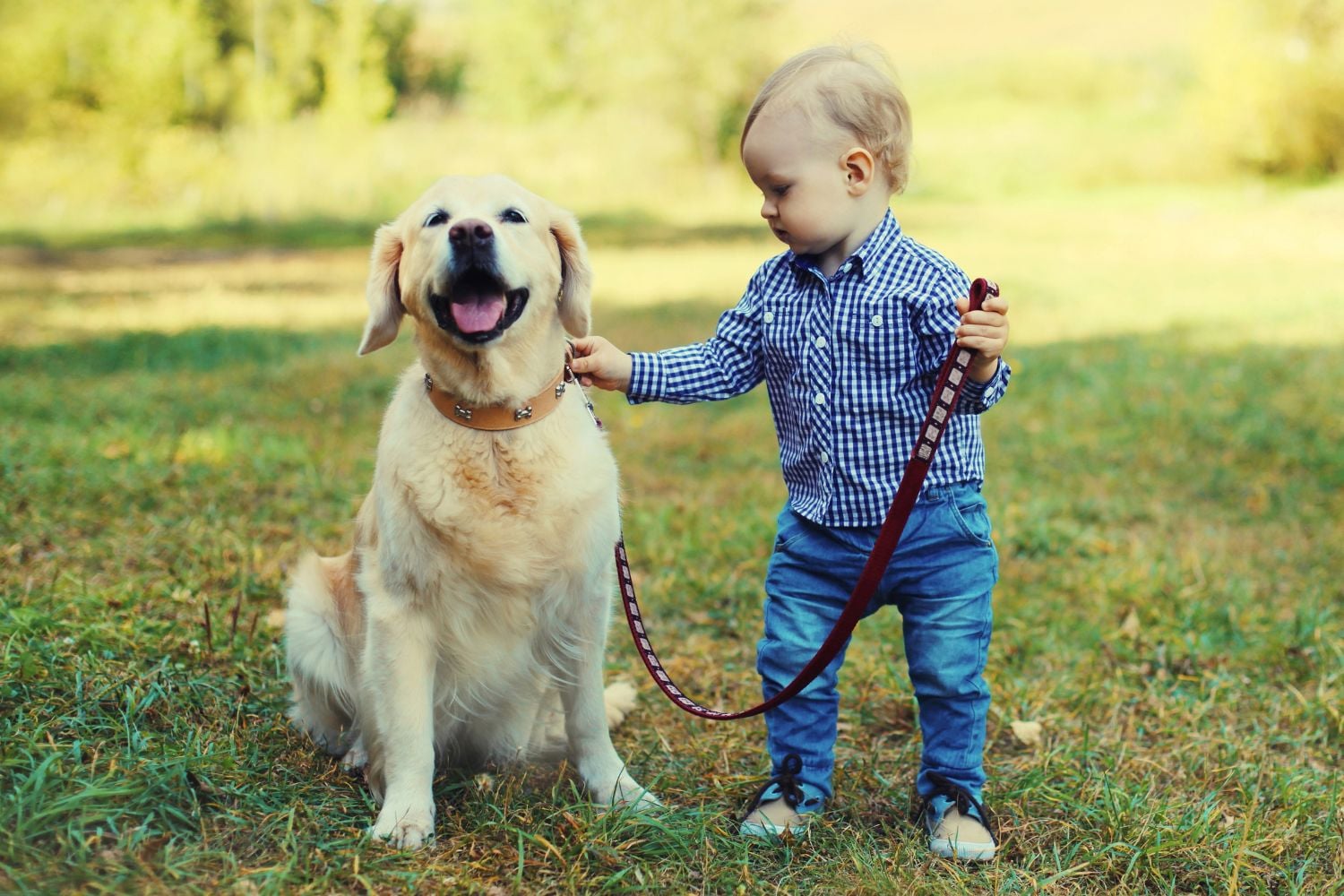 Diseño Sin Título (62)