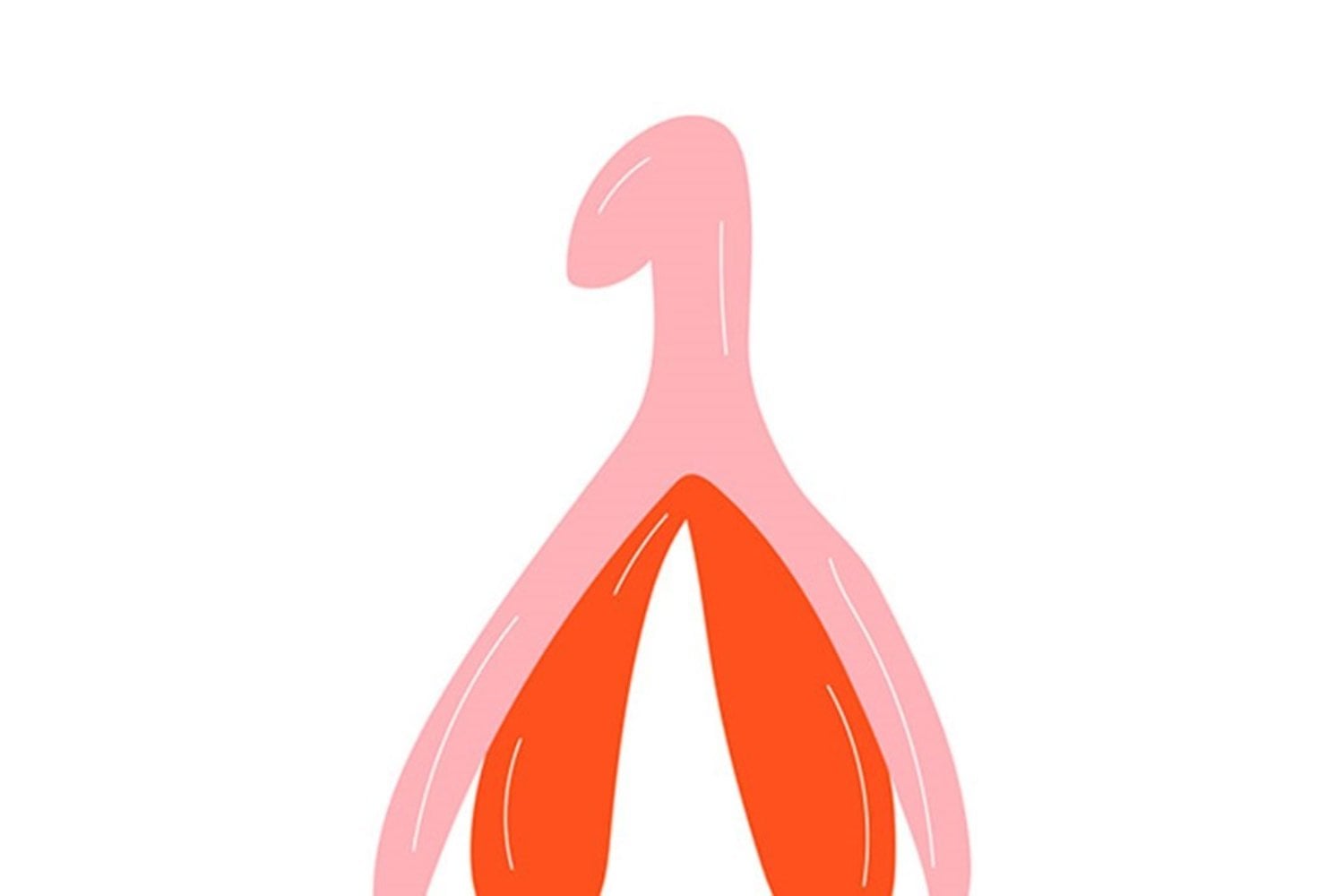 El clítoris no solo es mucho más grande de lo que solemos imaginar: ahora, por primera vez, los científicos han logrado cartografiar en 3D la compleja red de nervios que explica su enorme sensibilidad