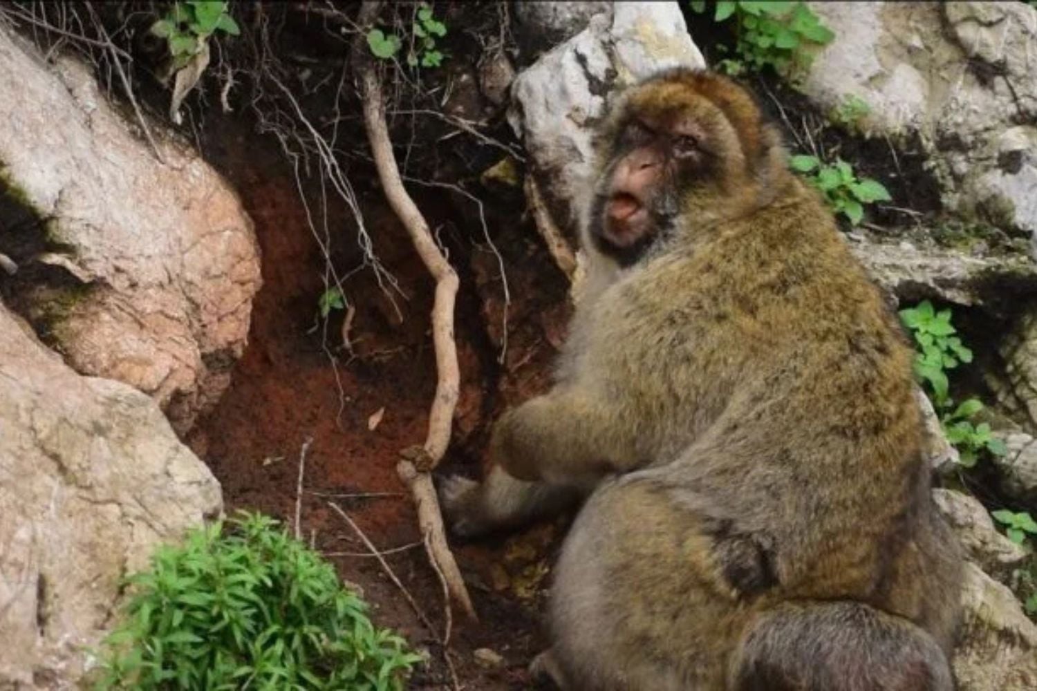 Diseño Sin Título (64)