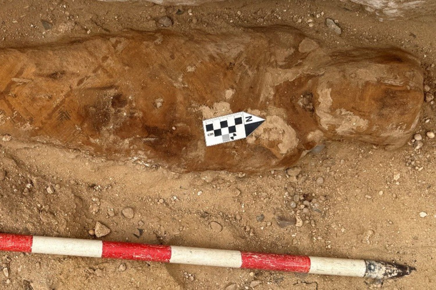 Abrieron una tumba romana en Egipto esperando hallar momias y amuletos funerarios. Lo más sorprendente apareció dentro de un cuerpo: un fragmento de la Ilíada