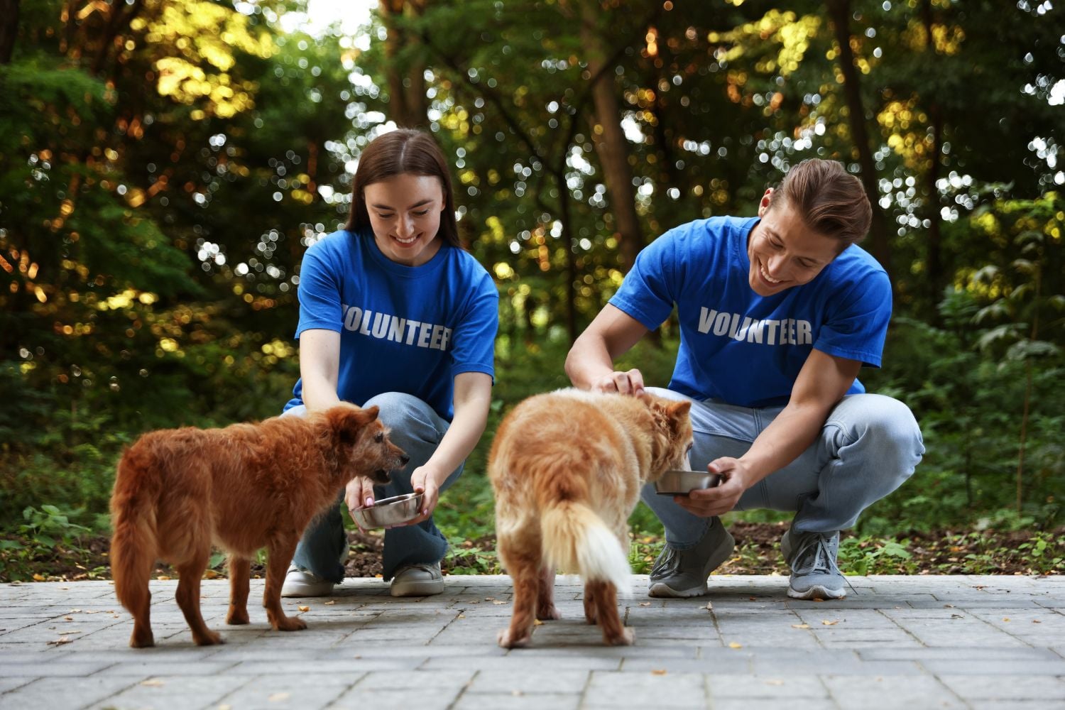 Diseño Sin Título (71)