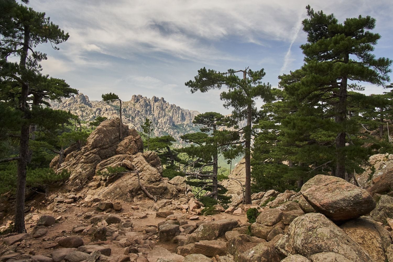 Diseño Sin Título (71)