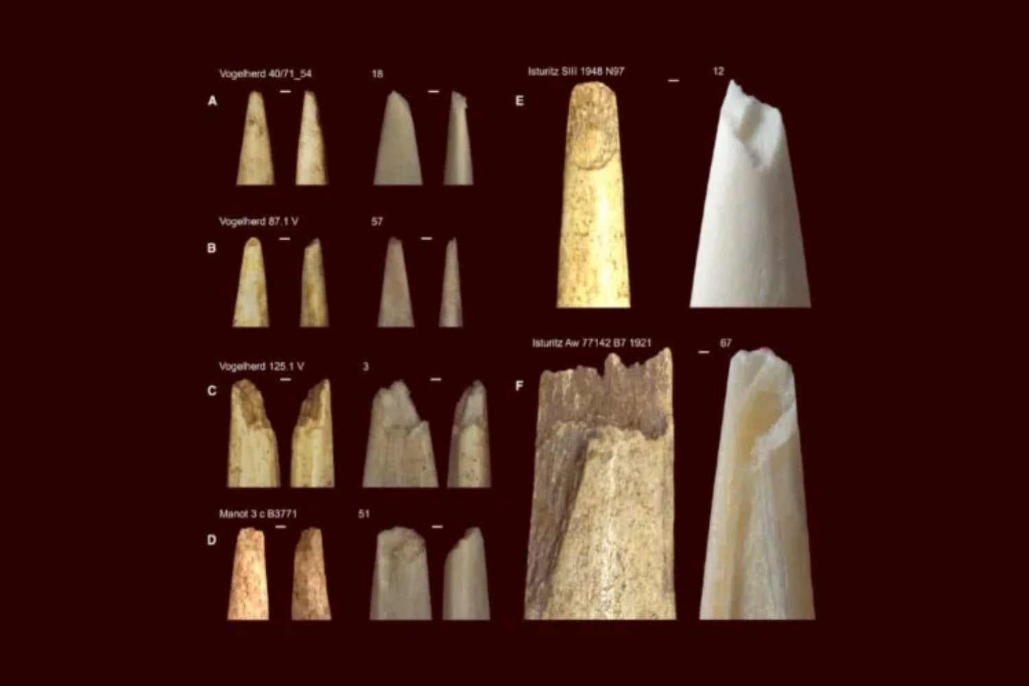 Un grupo de científicos disparó 191 veces para resolver un misterio de la prehistoria que esta irresuelto. El resultado obliga a replantear cómo cazaban los primeros Homo sapiens en Eurasia hace 40.000 años