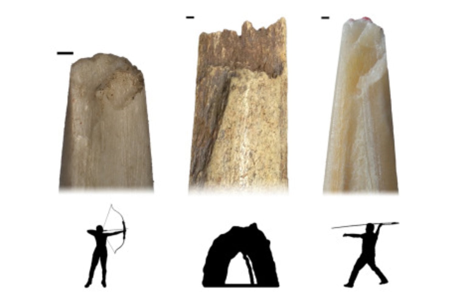 Un grupo de científicos disparó 191 veces para resolver un misterio de la prehistoria que esta irresuelto. El resultado obliga a replantear cómo cazaban los primeros Homo sapiens en Eurasia hace 40.000 años