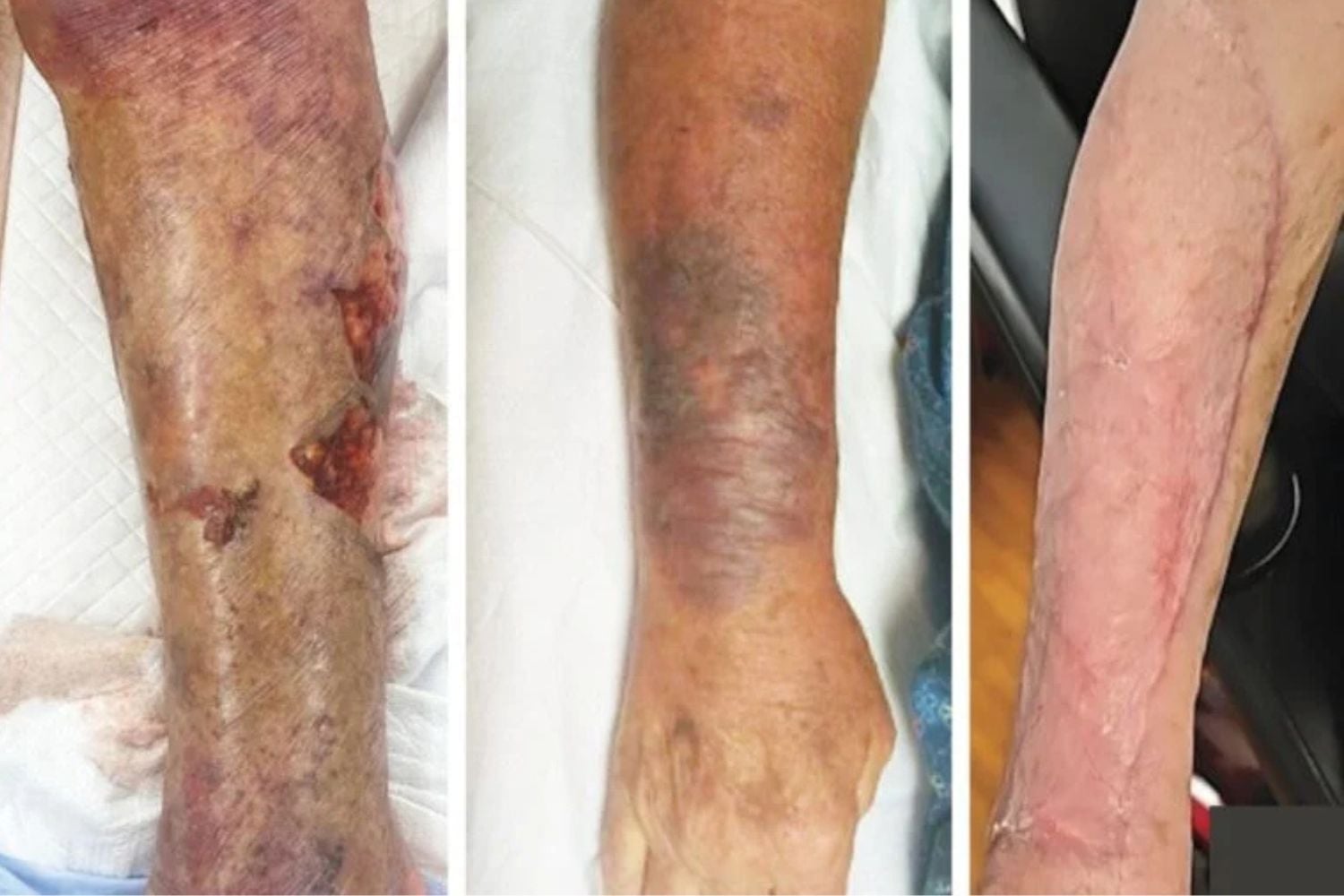 Diseño Sin Título (79)