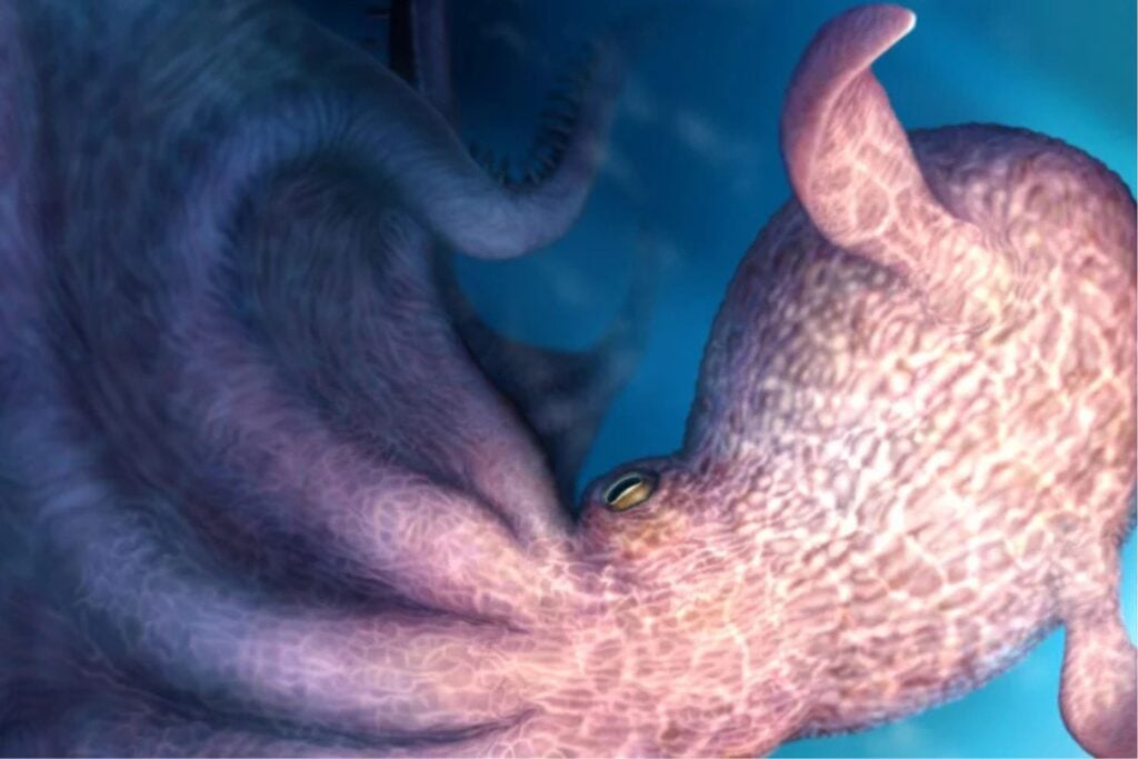 Diseño Sin Título (81)