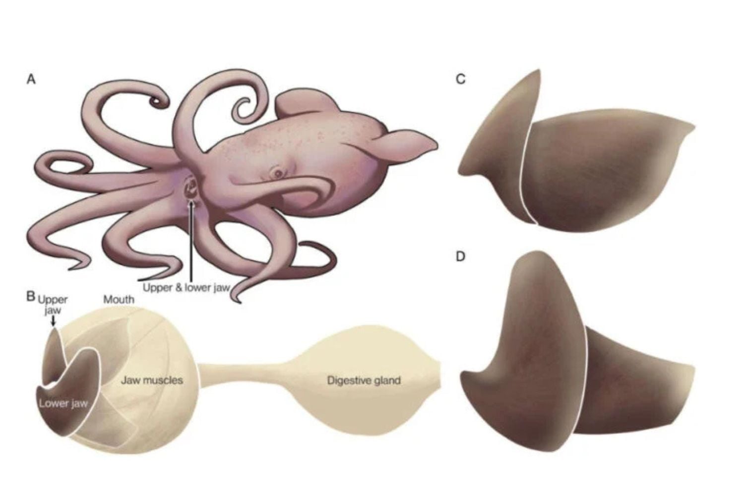 Diseño Sin Título (84)