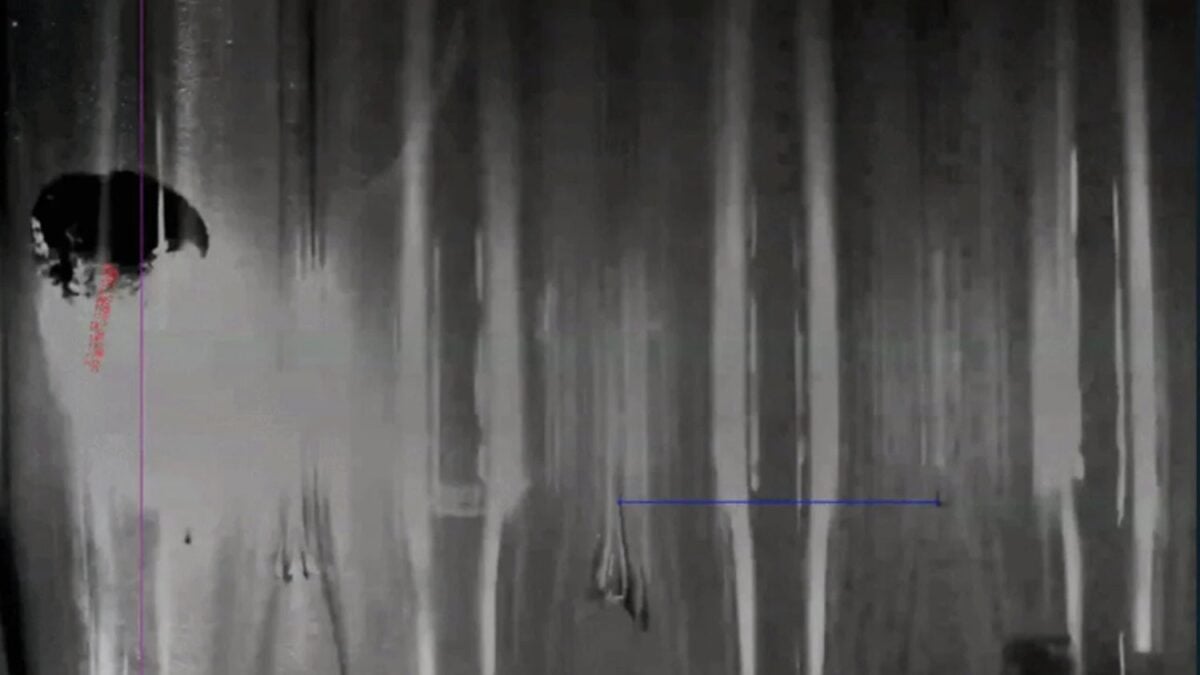 Un experimento muy loco: los láseres y el grafeno podrían propulsar las naves espaciales en el futuro