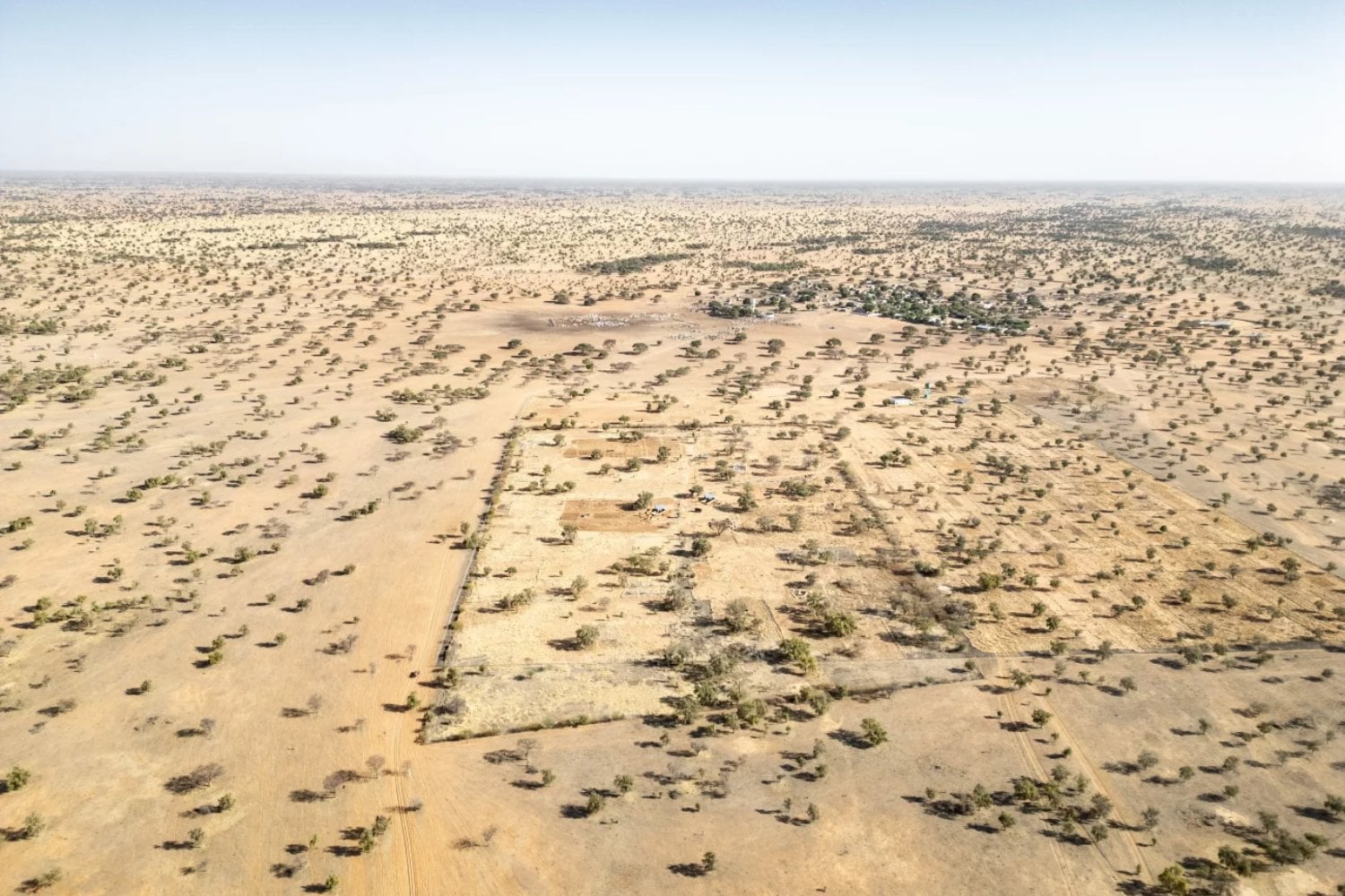 África quiso construir una muralla viva de 8.000 kilómetros para detener al Sahara. Dieciocho años después, el desierto sigue avanzando y el megaproyecto climático enfrenta una realidad mucho más dura de lo esperado