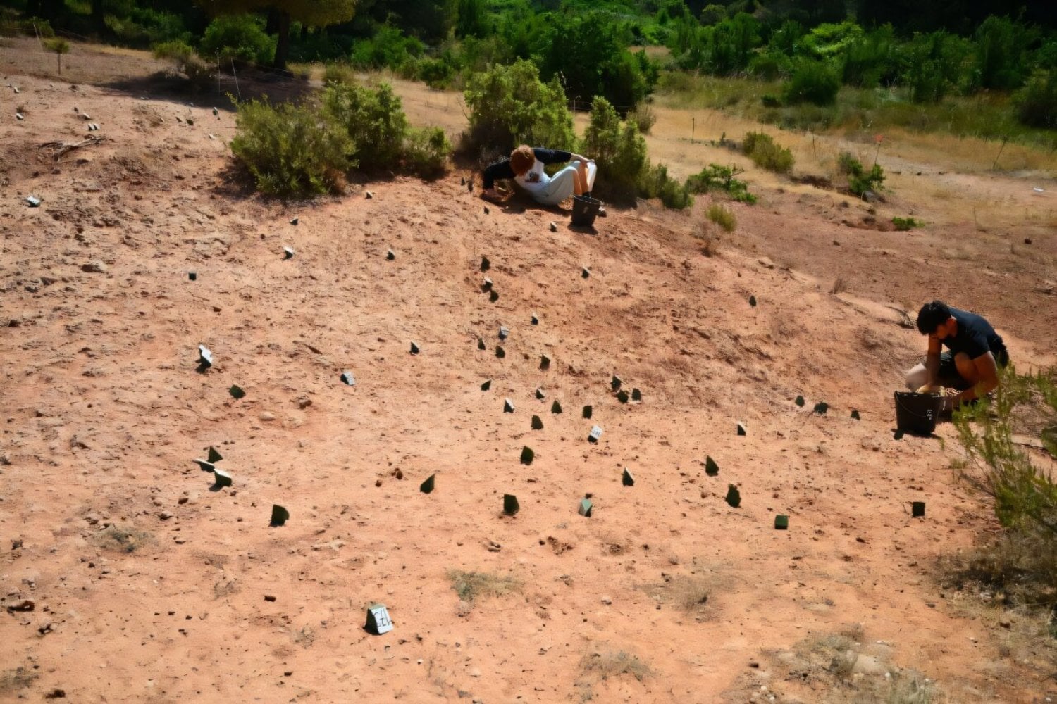Descubren en el sur de Francia un gigantesco campo de nidificación de hace 76 millones de años con cientos de huevos de dinosaurio perfectamente conservados. Lo fascinante es que los científicos creen que bajo tierra podrían permanecer enterrados millones de fósiles todavía intactos