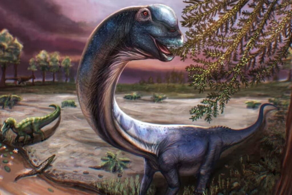 Encontraron unos huesos junto a un estanque en Tailandia y terminaron identificando al mayor dinosaurio descubierto en el Sudeste Asiático. El “último titán” vivió millones de años antes del T. rex