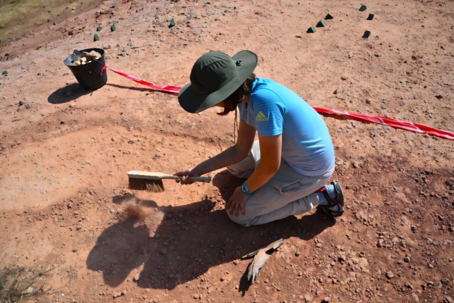 Descubren en el sur de Francia un gigantesco campo de nidificación de hace 76 millones de años con cientos de huevos de dinosaurio perfectamente conservados. Lo fascinante es que los científicos creen que bajo tierra podrían permanecer enterrados millones de fósiles todavía intactos