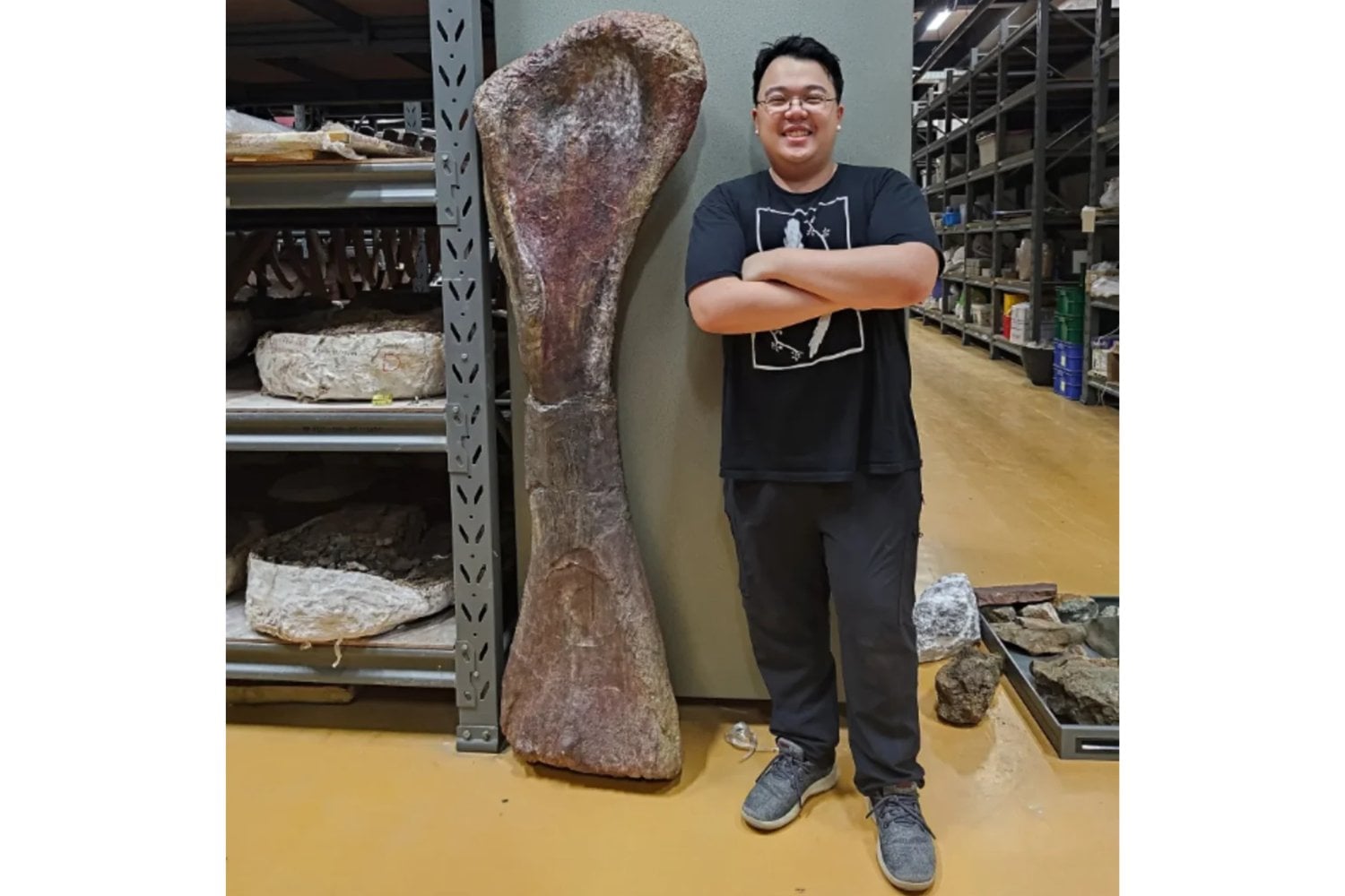 Encontraron unos huesos junto a un estanque en Tailandia y terminaron identificando al mayor dinosaurio descubierto en el Sudeste Asiático. El “último titán” vivió millones de años antes del T. rex