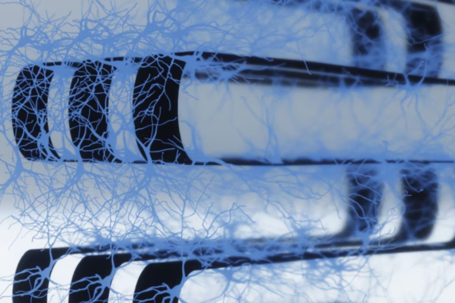 Científicos lograron fusionar 70.000 neuronas vivas con componentes electrónicos flexibles. El resultado es un chip cerebral híbrido que podría transformar el futuro de la inteligencia artificial y la computación